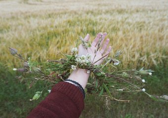 Как заинтересовать персонал эко-инициативами – опыт Continental