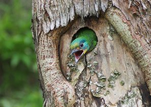 7 причин, по которым следует нанять сотрудника без опыта