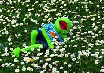 Государство хочет заставить компании оплачивать турпутевки сотрудникам