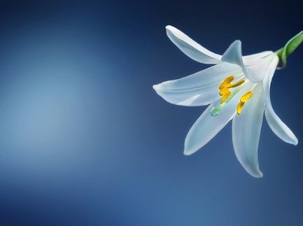 Команда в облаке или Как будет развиваться групповая работа