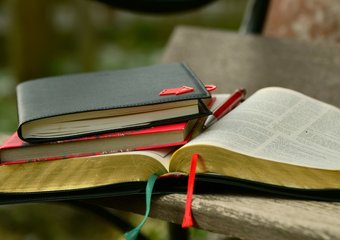 Отмечены 2 крайности у компаний в вопросе корпоративной культуры