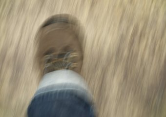 Из директоров в курьеры: чем хороша идея "топ на передовой"