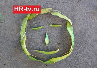 Как превращать неудачи в успех