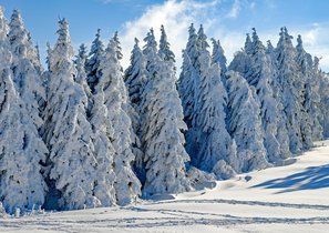 Что общего у охраны природы и HR?