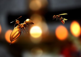 Заменит ли робот HR-специалиста?