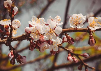 Как отдыхаем на майские праздники в 2019 году