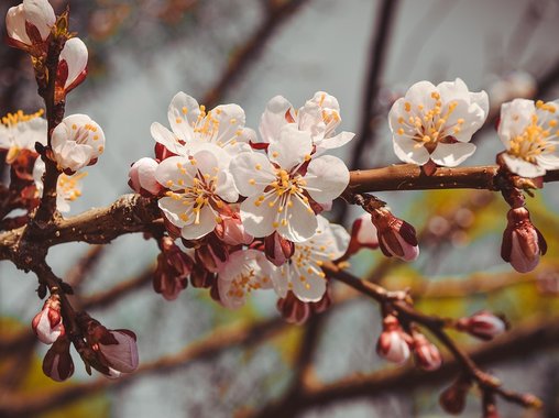 Как отдыхаем на майские праздники в 2019 году