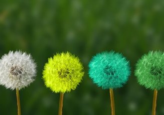 Мифы новичков: как выбрать успешную франшизу