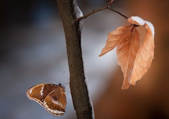Мотивация: 7 действенных приемов