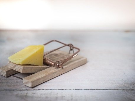 Больше половины российских компаний практикуют хантинг