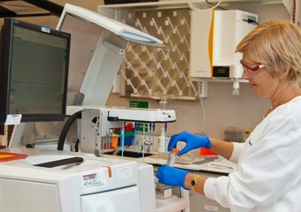 Компания MSD вошла в Топ-100 лучших работодателей России