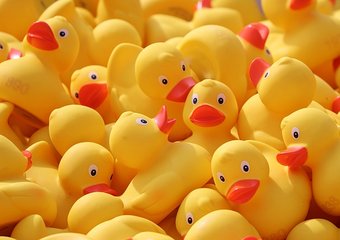 Объявлены финалисты программы «Начни иначе»