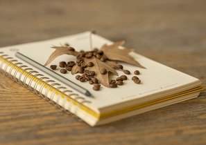 Обучение персонала: школа талантов, клуб киноманов и другие