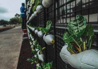 Экологичность бизнеса на страже экологии планеты