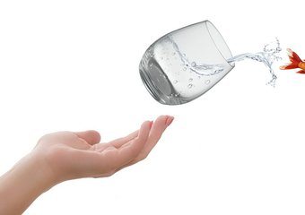 Ошибка? Проверьте коммуникации и бизнес-процессы