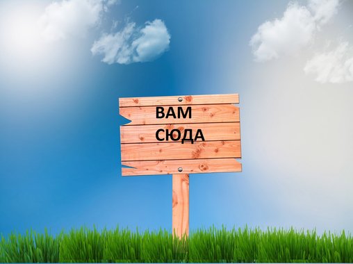 Принципы построения отдела продаж