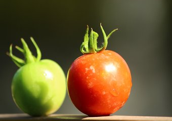 Недозреть и перезреть: 5 способов оценить труд вашей HR-службы