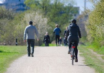 Ученые объяснили, почему эффективны деловые встречи на ходу