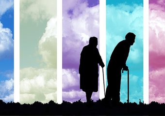 Пенсии вырастут в 2019 году на 163 рубля