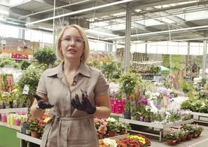 Пересмотр ассортимента — кейс OBI