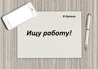 Не пишите президенту, или как я искала работу