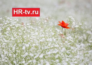 Как инвестировать критику в свое развитие