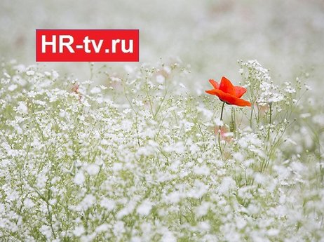 Как инвестировать критику в свое развитие