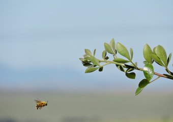 "Мы долго считались небольшим предприятием – и незаметно для себя построили пять заводов"