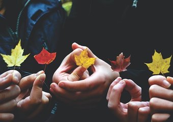 Представители IT-отрасли, торговли и риелторы – самые ответственные работодатели