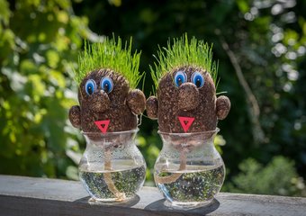 HR-будни: как расставить приоритеты по Эйзенхауэру