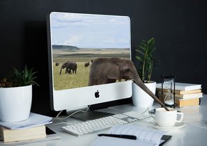 Профессиональная деформация HR-специалиста