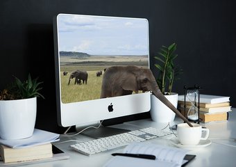 Профессиональная деформация HR-специалиста