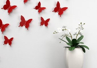 С какими мыслями не стоит браться за проект