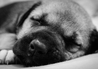 Разбуди спящего, поймай неуловимого. 7 способов привлечь клиентов