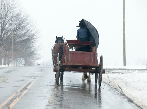 Герберту Уэллсу и не снилось: транспортная отрасль и самые востребованные специальности в ней через пять лет