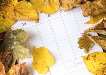 Ноябрь порадует короткой неделей: готовимся к изменению графика