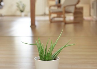 Росбанк стал победителем в двух номинациях акции «Зеленый и здоровый офис – 2020»