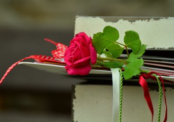 Россияне растянули День влюбленных до 23 февраля