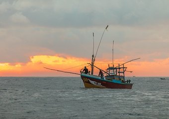 РРПК готовит кадры для рыбной отрасли вместе с Морским государственным университетом имени Г.И. Невельского
