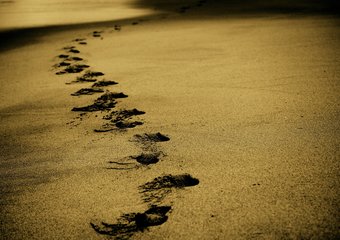 Что делать, если пошел работать "не туда"