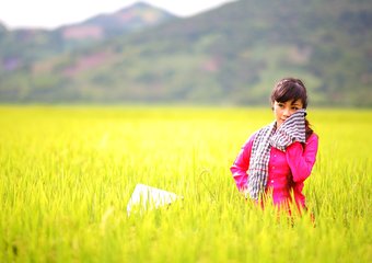 Семейный подряд: плюсы и минусы совместной работы родственников