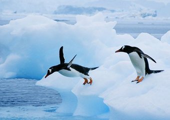 Пять SEO-трендов, о которых нужно срочно забыть (и почему)