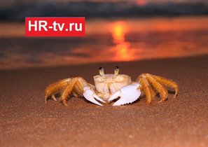 Отдых отдохнувшим! Как правильно работать после праздников