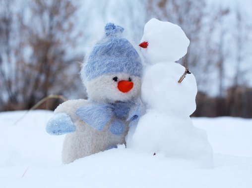 Японцы объяснили, почему символом года стал иероглиф "дешевый"