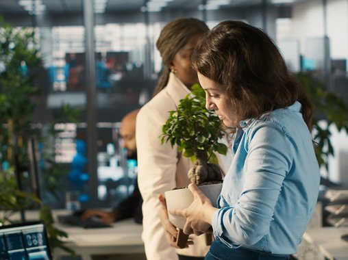 Офисные сотрудники хотят больше зелени и комфорта