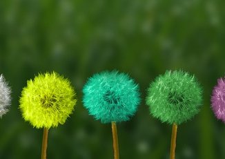 6 способов рекрутеру развить интуицию