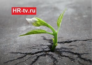 Как повысить лояльность сотрудников?