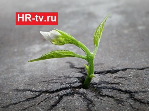 Как повысить лояльность сотрудников?