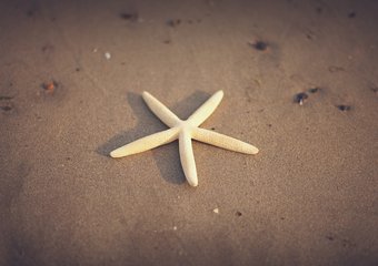 Самопиарщик: где сам, где пиарщик