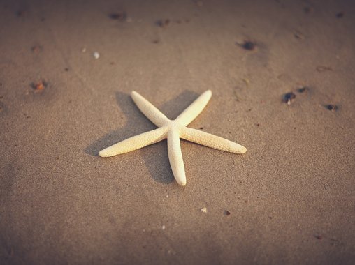 Самопиарщик: где сам, где пиарщик